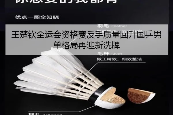 王楚钦全运会资格赛反手质量回升国乒男单格局再迎新洗牌 - JiuyouSports